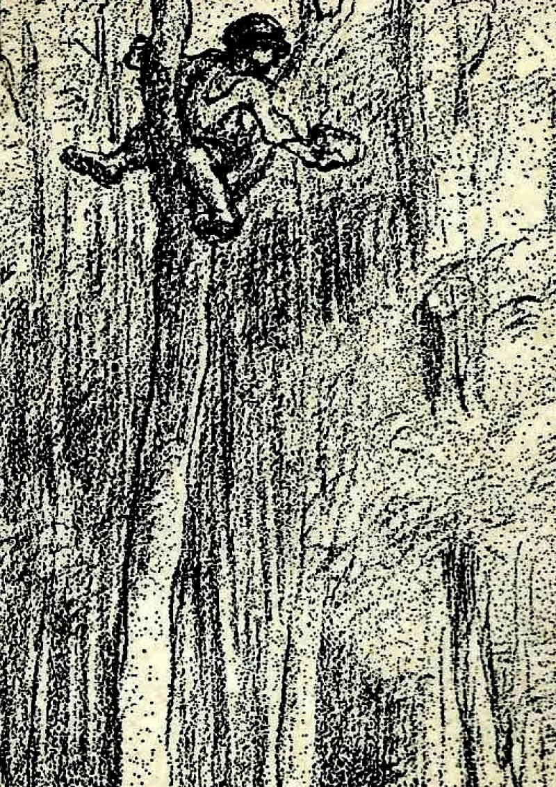 Foto: Parchi Letterari - ParkTime Magazine n.26