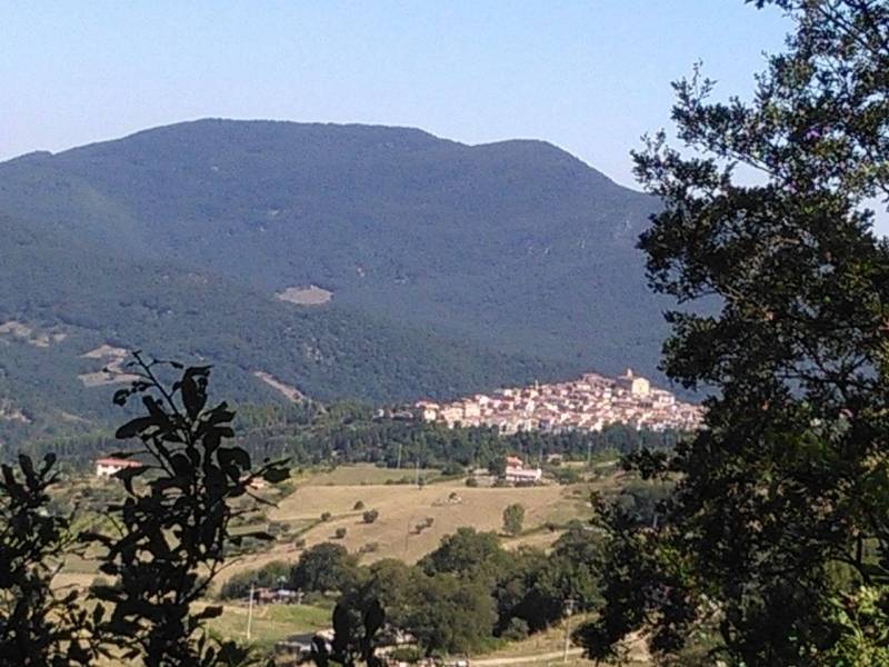 Parco: Premio letterario “L’ Albero di Rose