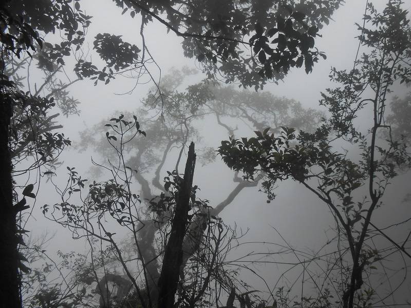 Parco: #iorestoacasa in India, il Paese delle grandi leggende. Di Stanislao de Marsanich