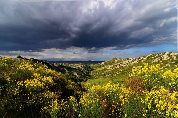 Parco: Il Carnevale storico di Aliano (Matera)