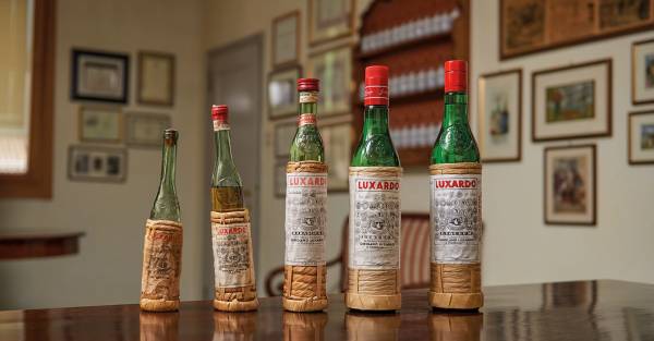 Parco: Sui Colli Euganei a Torreglia è rinata l’azienda Luxardo, esule dalmata