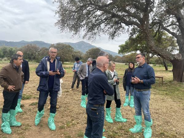Parco: Centro Insieme per lo sviluppo